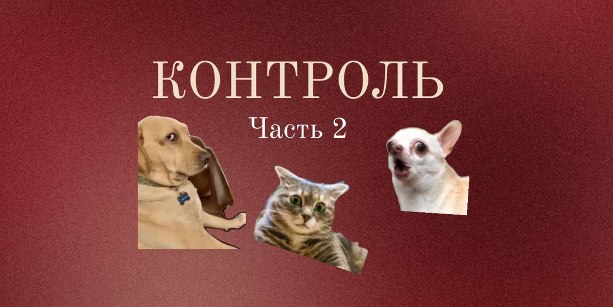 Контроль и гиперконтроль. Что делать с гиперконтролем 