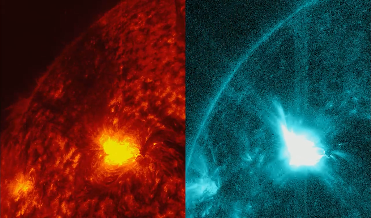 Фото: скриншот видео xras.ru