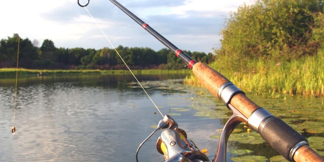 Судак рванул и сошёл на плетенке, остался на леске: когда шнур проигрывает монофилу.