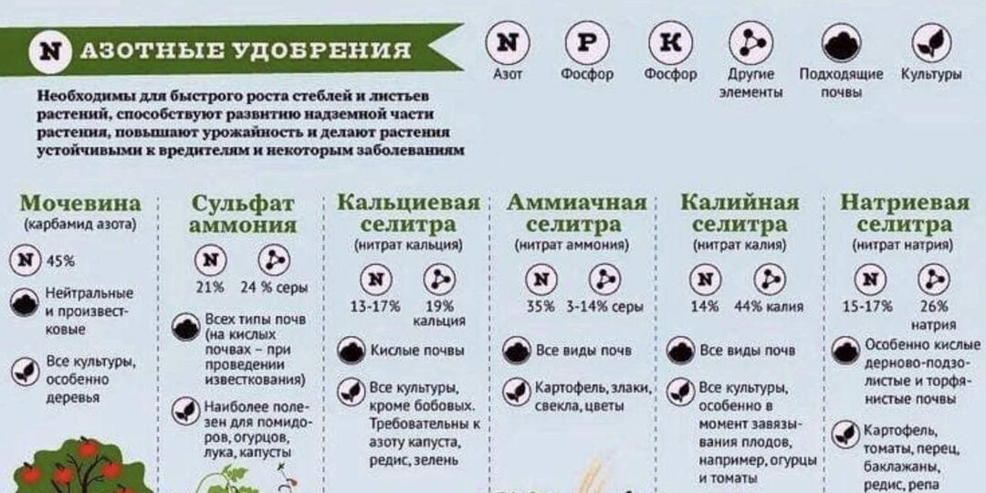 Какие удобрения для каких растений использовать