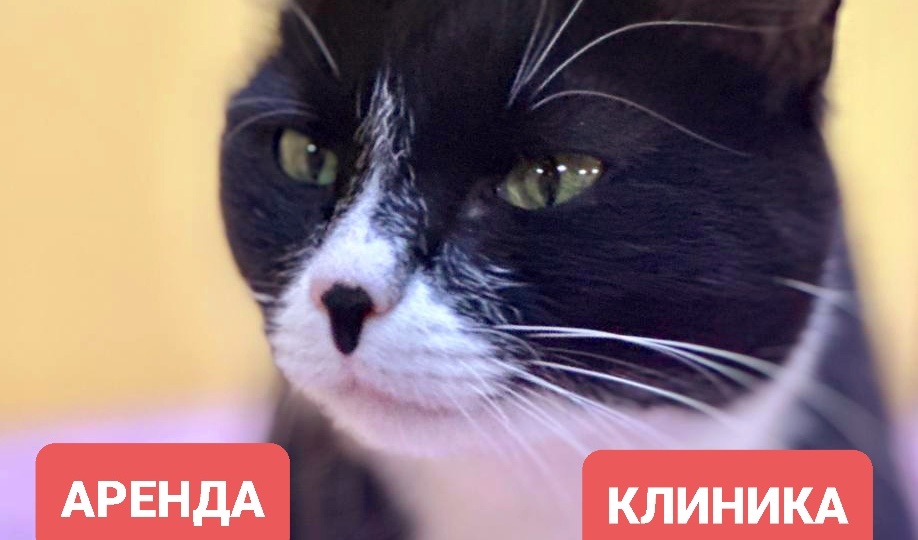 Февраль. Аренда 55000 и долги тянущиеся с января.