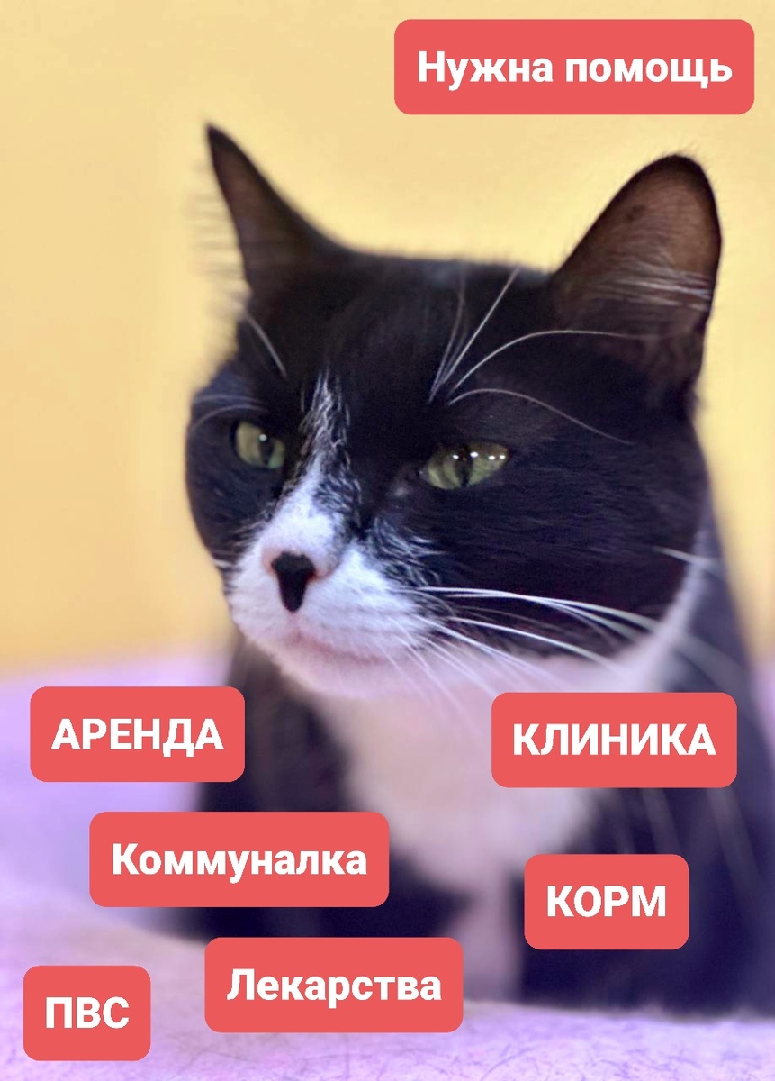 Джорно Джовано