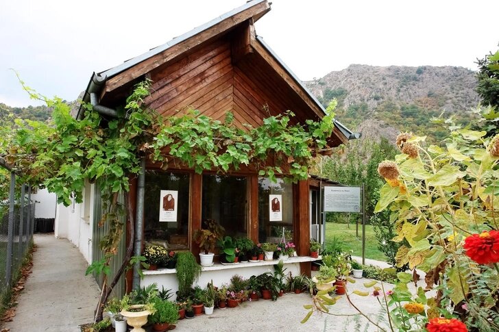    Влиятельные фигуры из мира политики и искусства часто искали встречи с Вангой, надеясь на её прозрения.