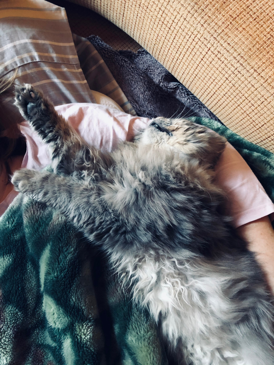 Вот как-то так мы и спим!