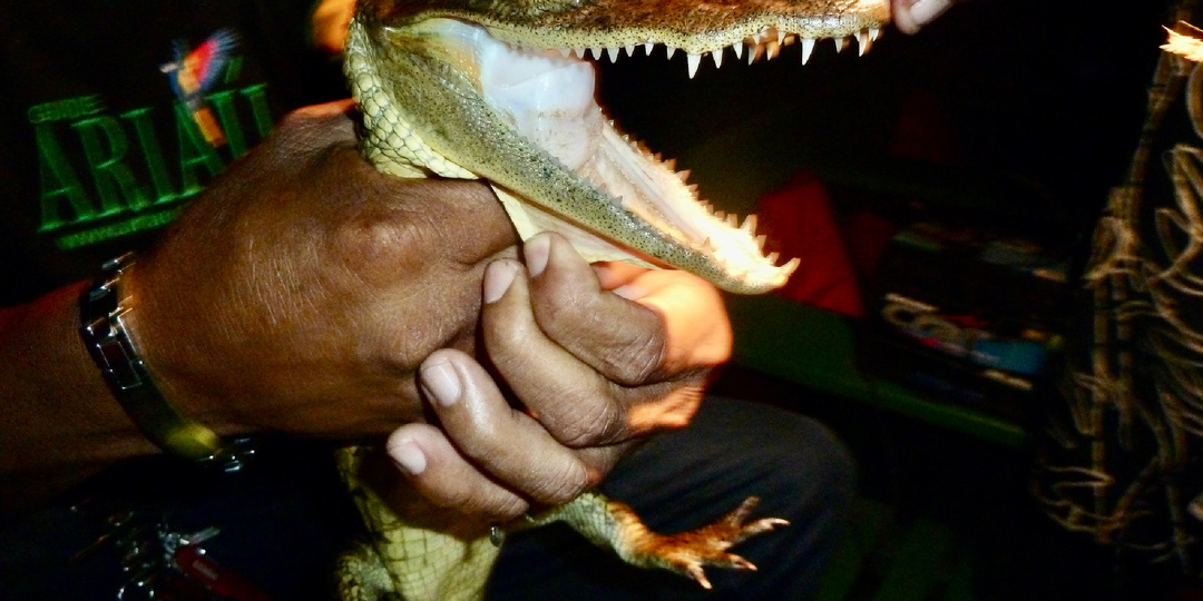 Амазония: там, где просыпается планета