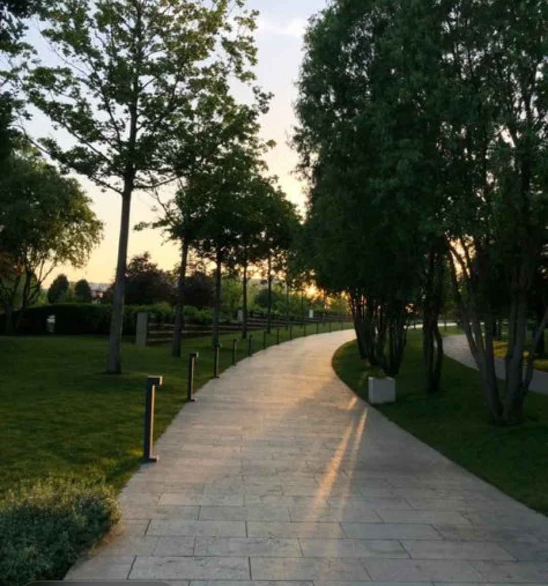 Вечерний парк