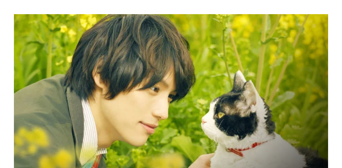 история дружбы человека и кота, которая тронула душу 🐈‍⬛