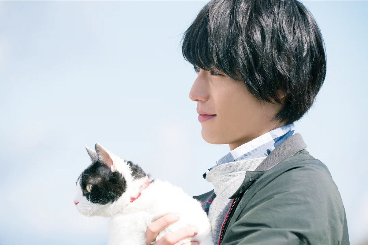 Здесь, выше и далее - фото с Кинопоиска