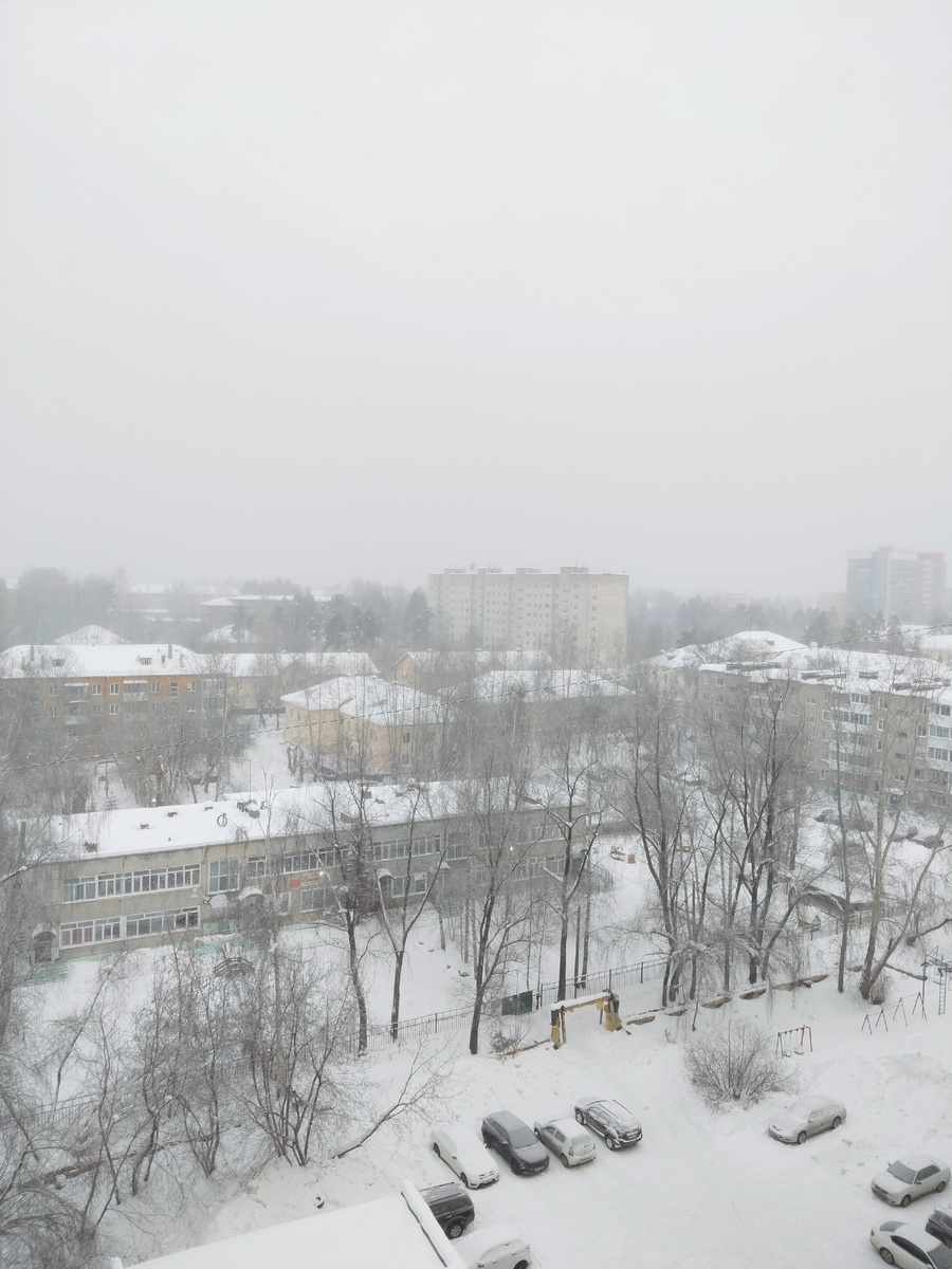 На фото 24 января, снежно. Сегодня 2 февраля и снег падает и падает. В этом году очень много снега