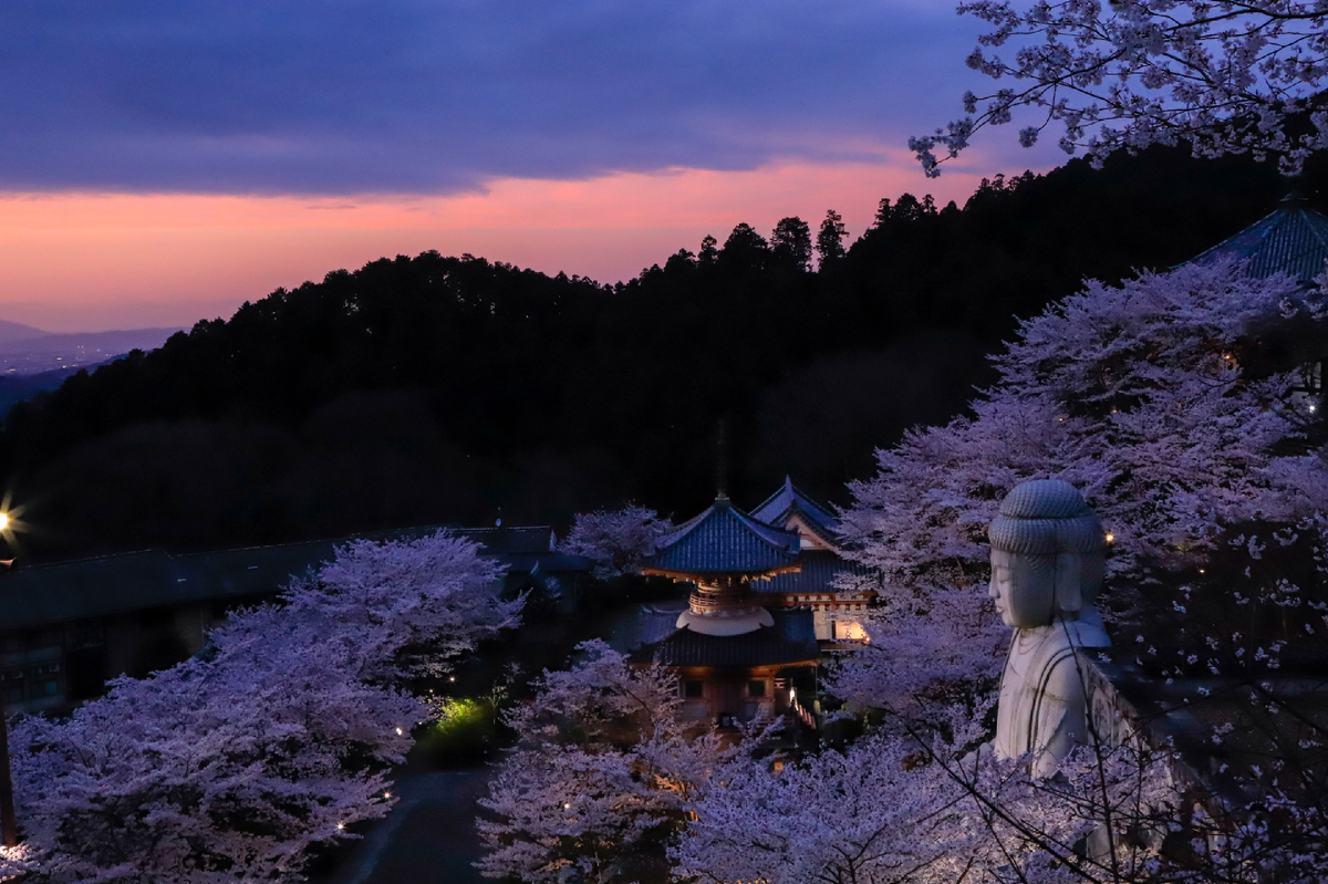 Фото: Viktoria Drugachenok