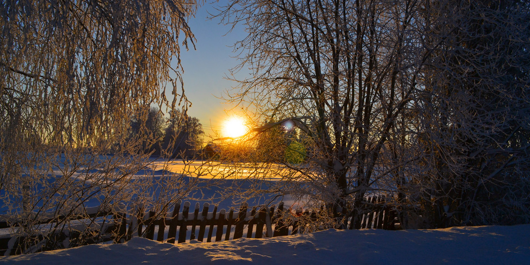 Жизнь прекрасна и удивительна. Январь в фотографиях