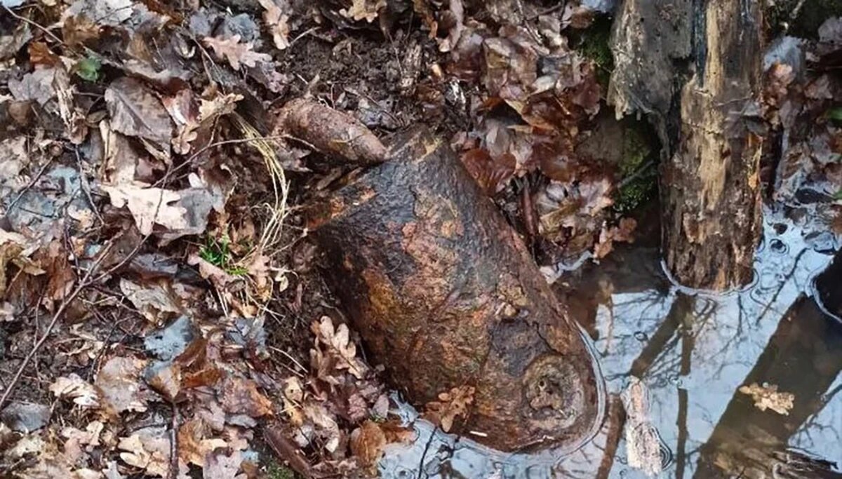    Фото t.me/rosgvard_krasnodar