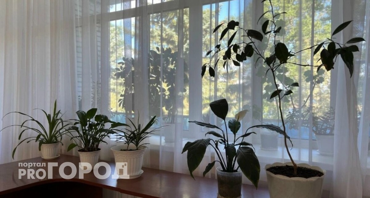    Из архива "Про Город"