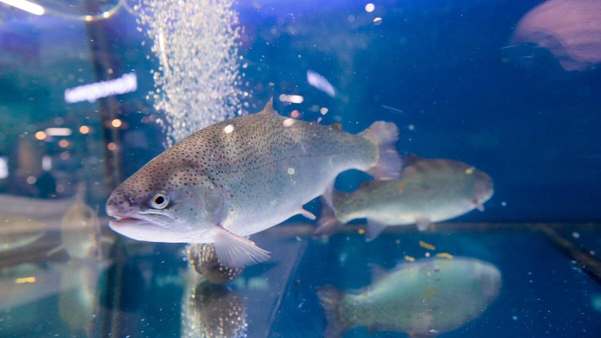    Фото: Василий Кузьмиченок / АГН Москва