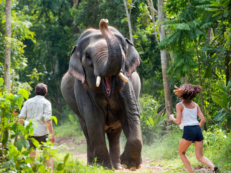    Фото: генерация Grok