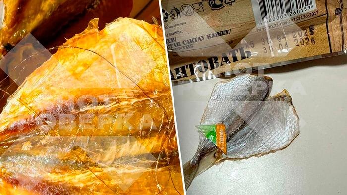 Обложка © Telegram/SHOT ПРОВЕРКА