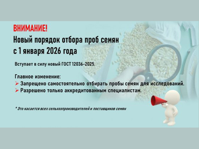 Новый ГОСТ. Какие теперь правила для семян, рассказывают тверским аграриям