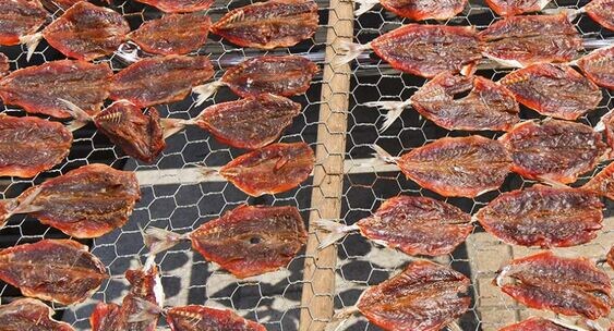 Роспотребнадзор Москвы начал проверку из-за ртути в рыбе из магазина