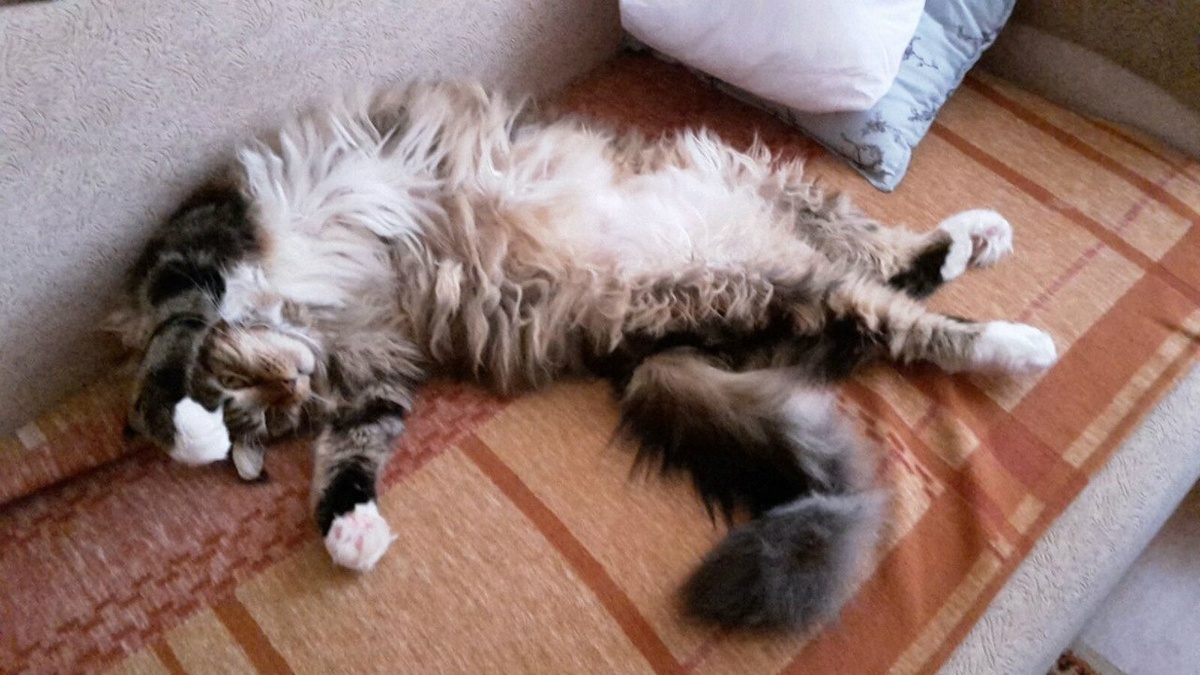 Личное фото