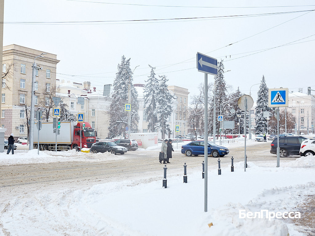     Фото: Елена Журавлёва