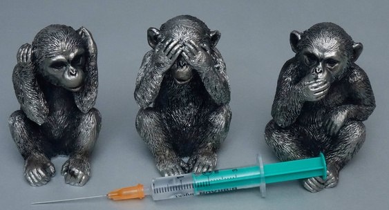 Роспотребнадзор нашел всех контактировавших с зараженными оспой обезьян