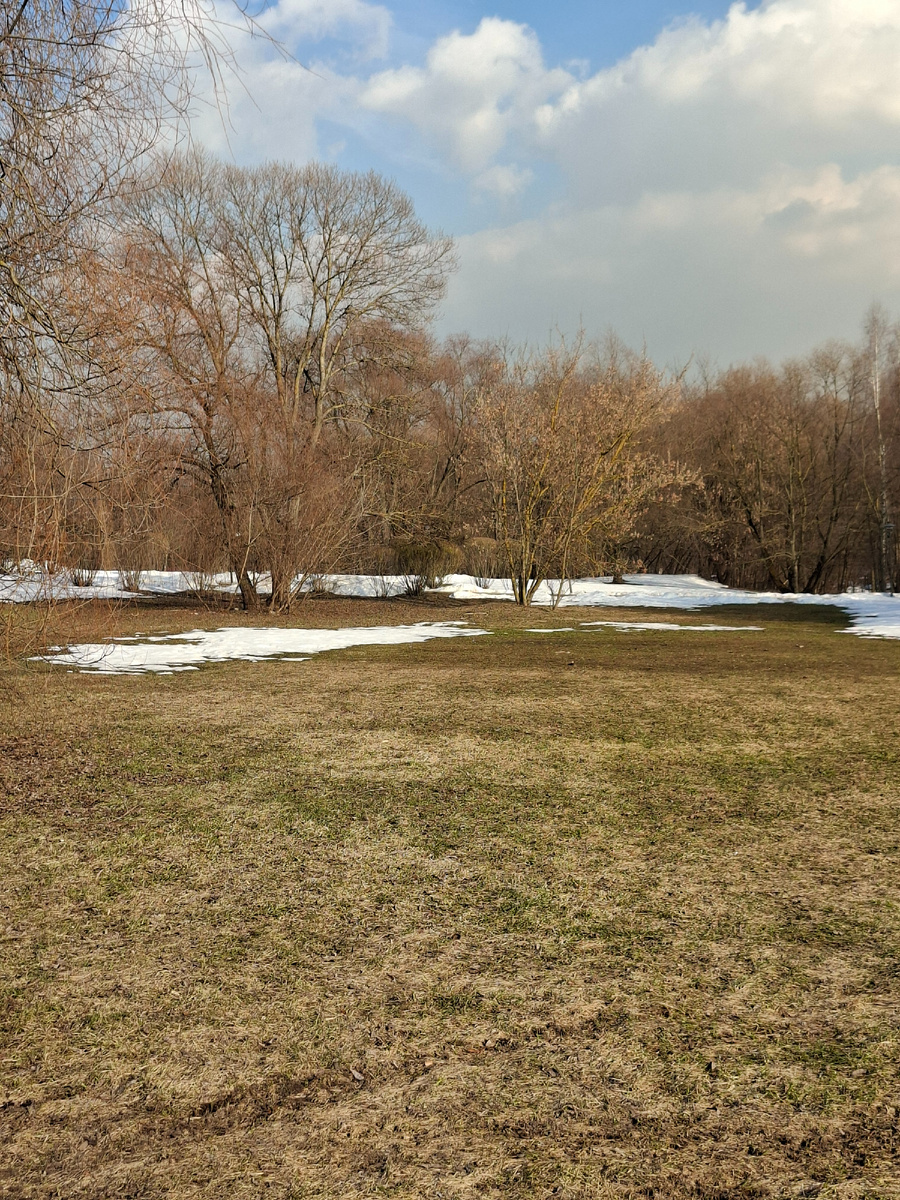 Для иллюстрации: луж нет