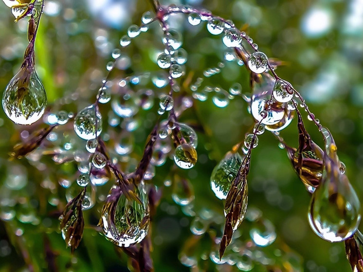     Изображение: МК в Карелии