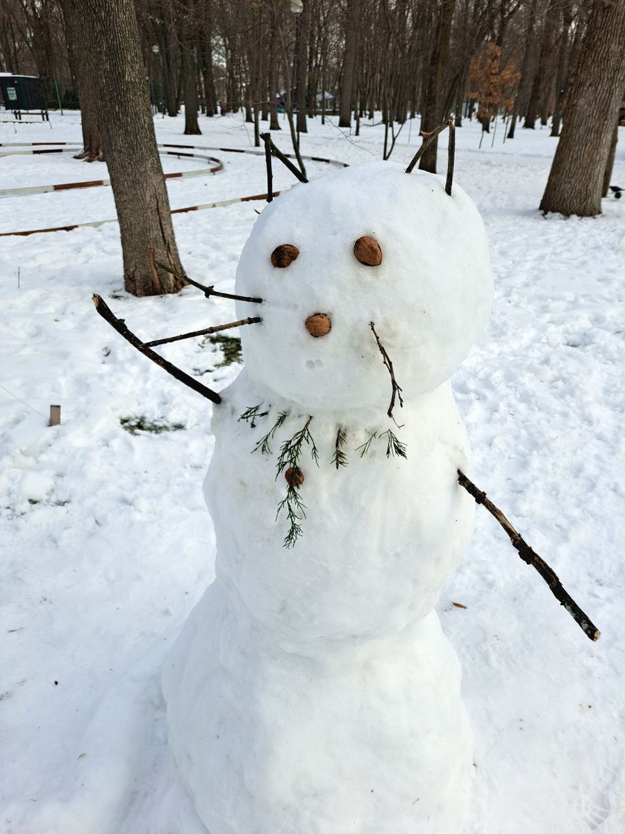 Донской снегокот интересуется: а вы уже подписались на мой канал?