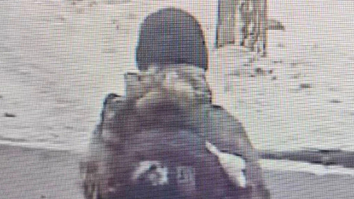   ГУ МВД России по городу Санкт-Петербургу и Ленинградской области- Павел Тифитулин