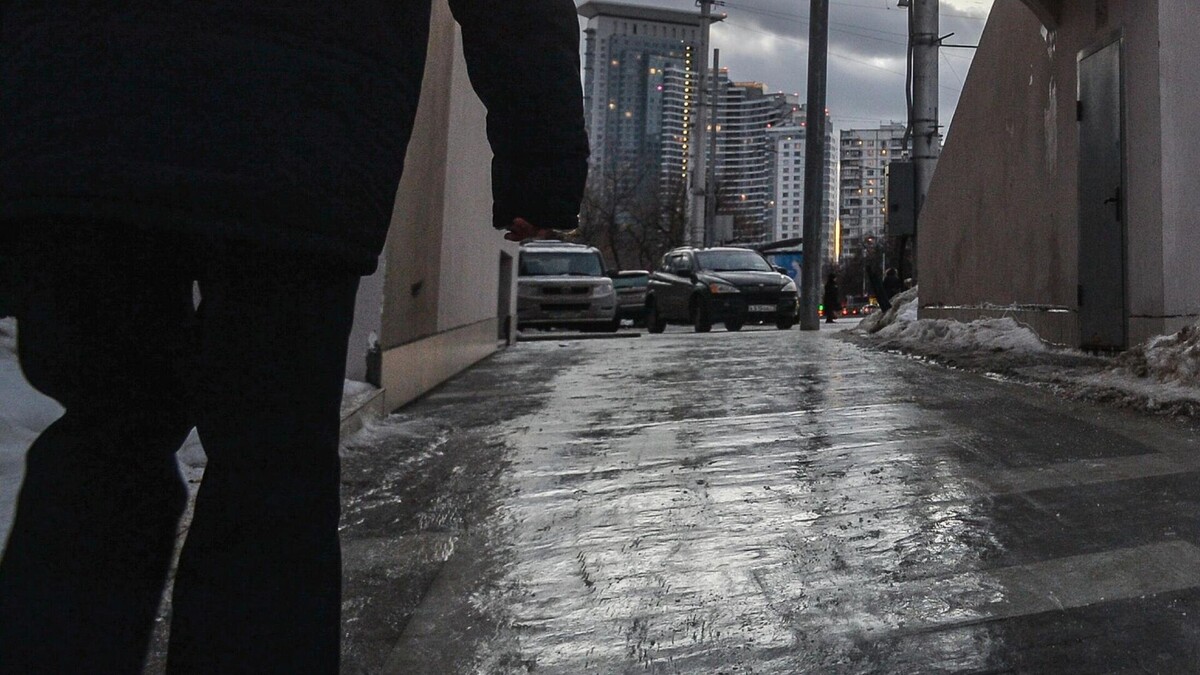 Фото: Евгений Одиноков / РИА Новости