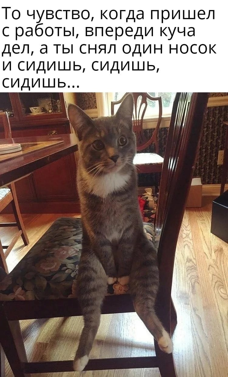 Вот он — повелитель дивана в позе «я начал разгрузку после работы… и завис на первом этапе — снятии носка»! 😄
