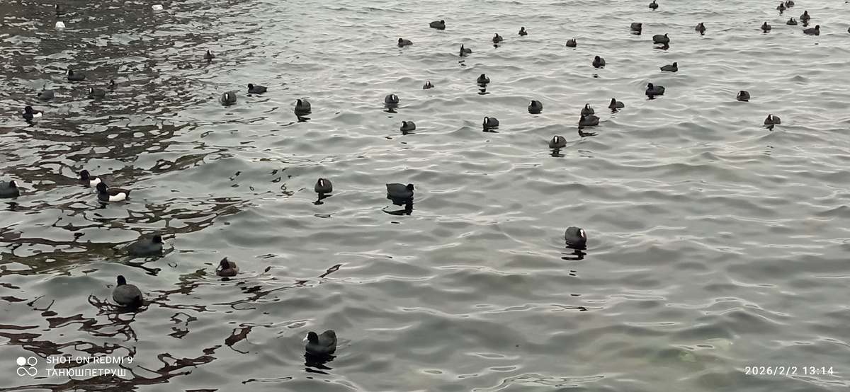 Фото автора.