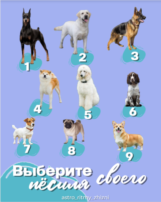 выбирайте по Душе - она знает...