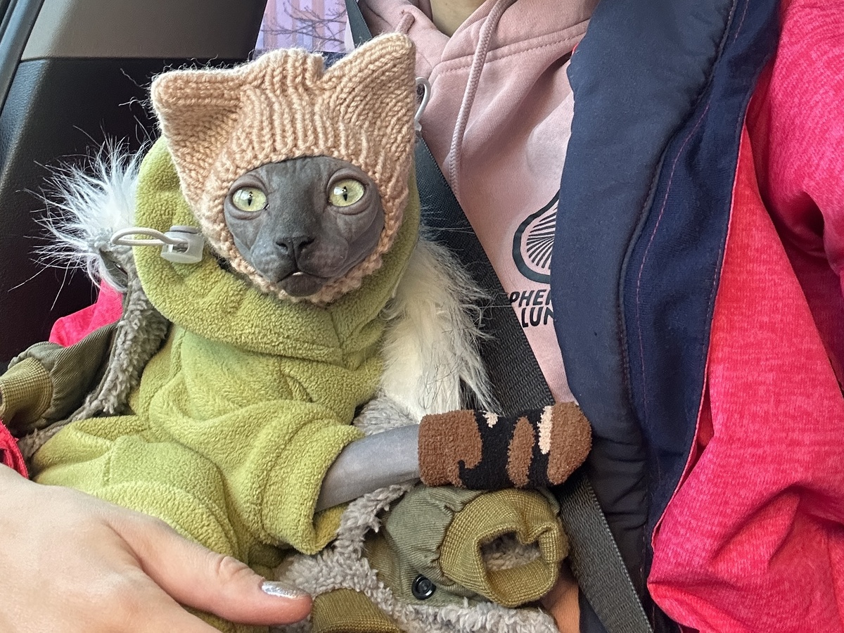 Элизабет в типичной зимней поездке