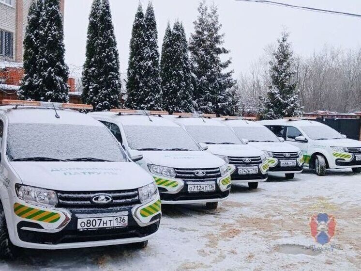     Фото: Госавтоинспекция Воронежской области