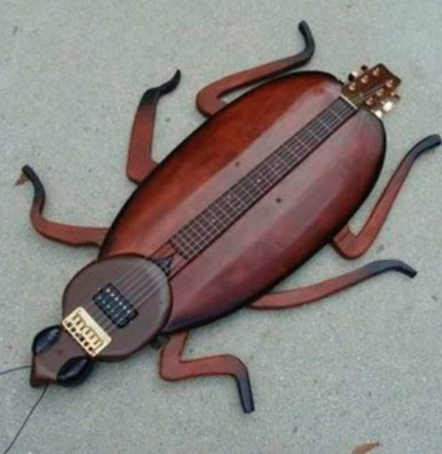 Непонятный музыкальный инструмент в форме насекомого.