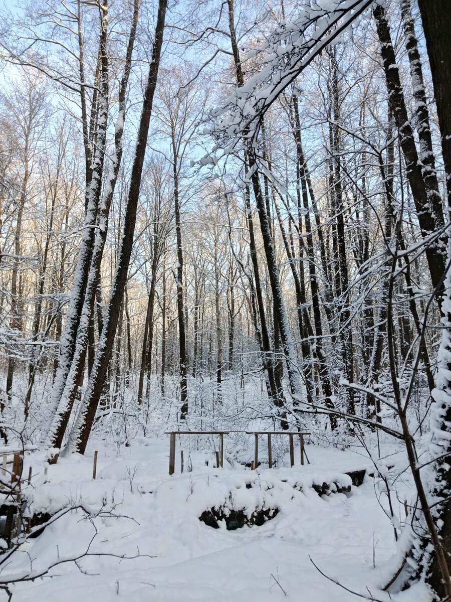 Фото Юлии Талалаевой 
