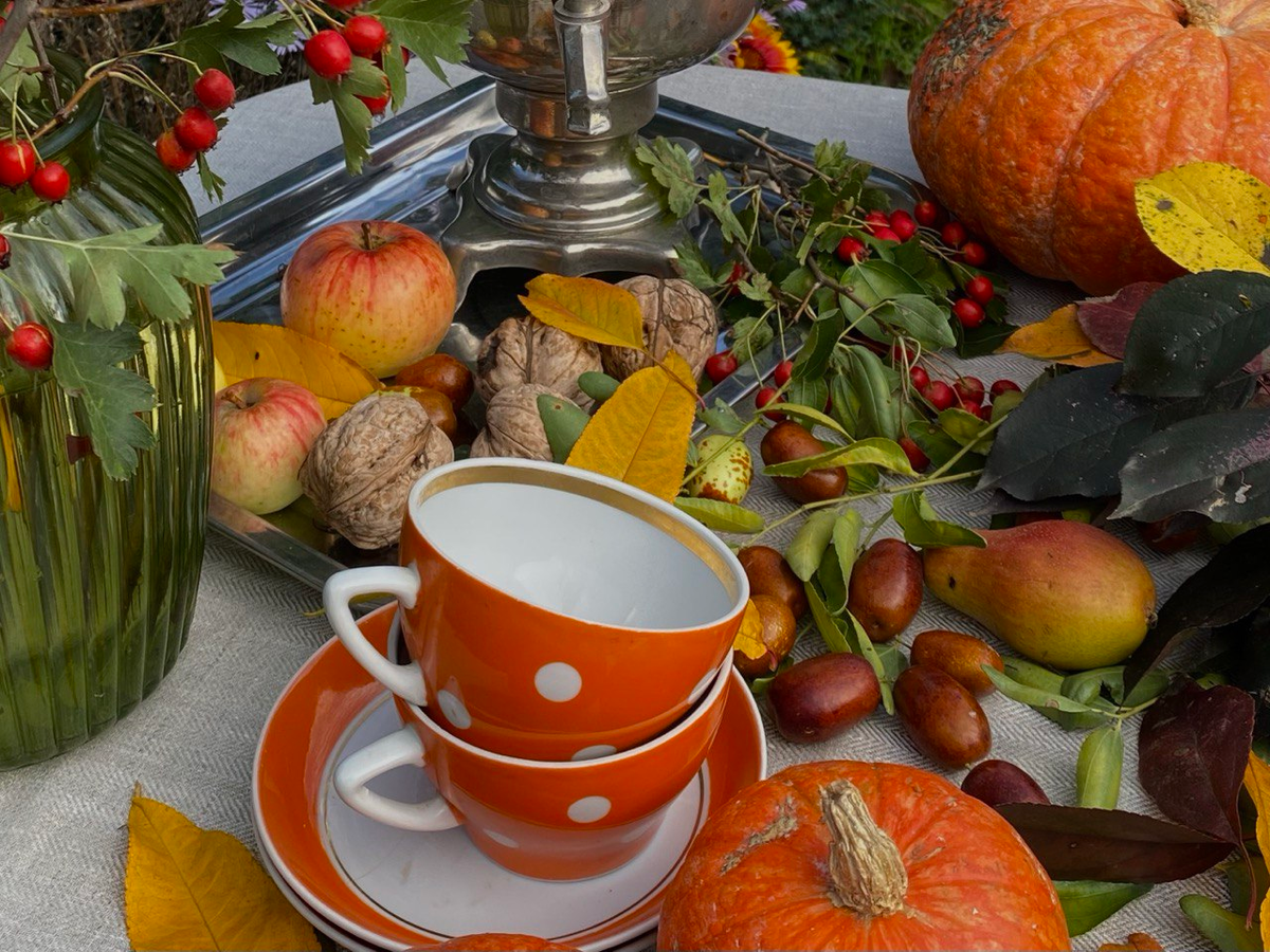 Вот мои кружки из дачного сервиза