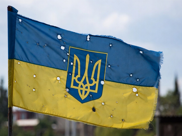     Фото: генерация Grok