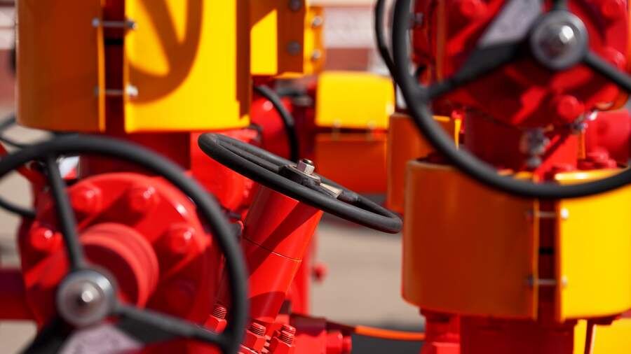    Фото: ИЗВЕСТИЯ/Дмитрий Коротаев