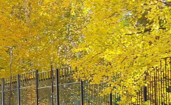 Фото из личного архива автора