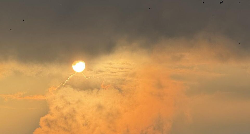    REGIONS/Александр Легкий