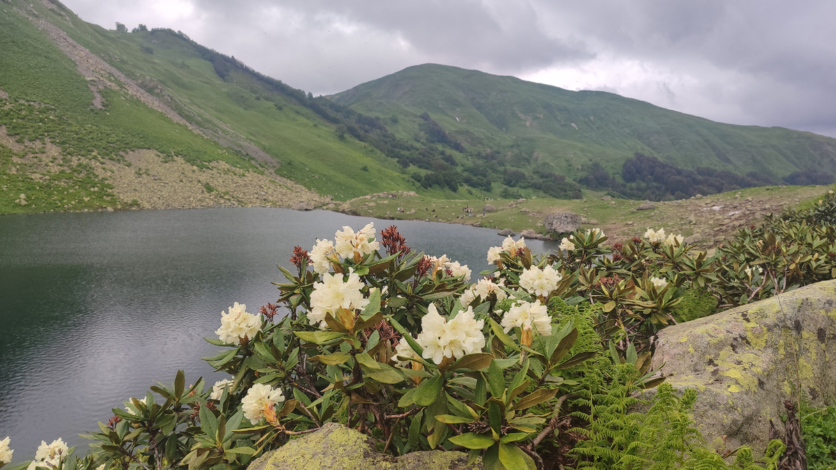 Горное озеро Мзы