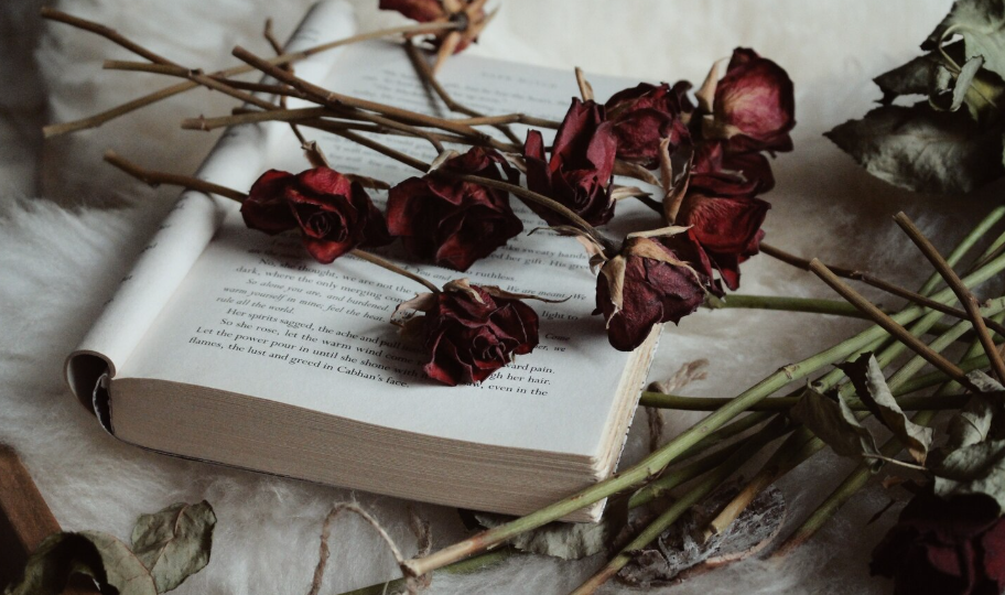 Нейробиология запоминания стихов и формул