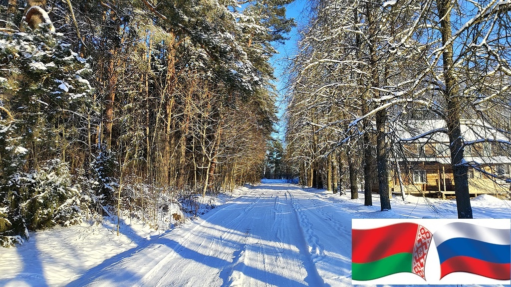 Дом в Беларуси, соседей. Фото автора