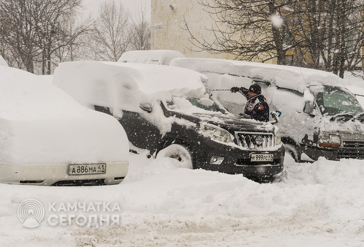 Фото Артема Безотечество / ИА «Камчатка»