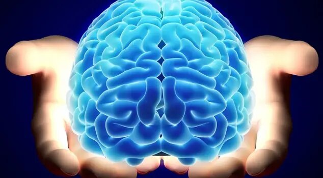 Невролог предупреждает: эти 11 привычек убивают ваш мозг