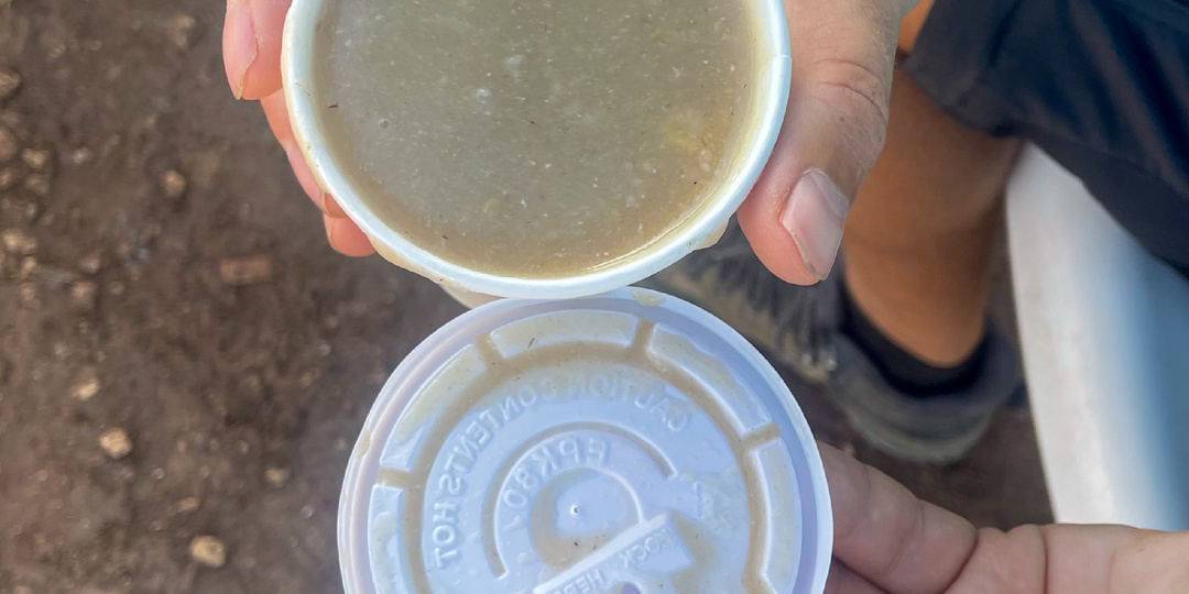 Незаконное проникновение к ямайскому планктону 😱