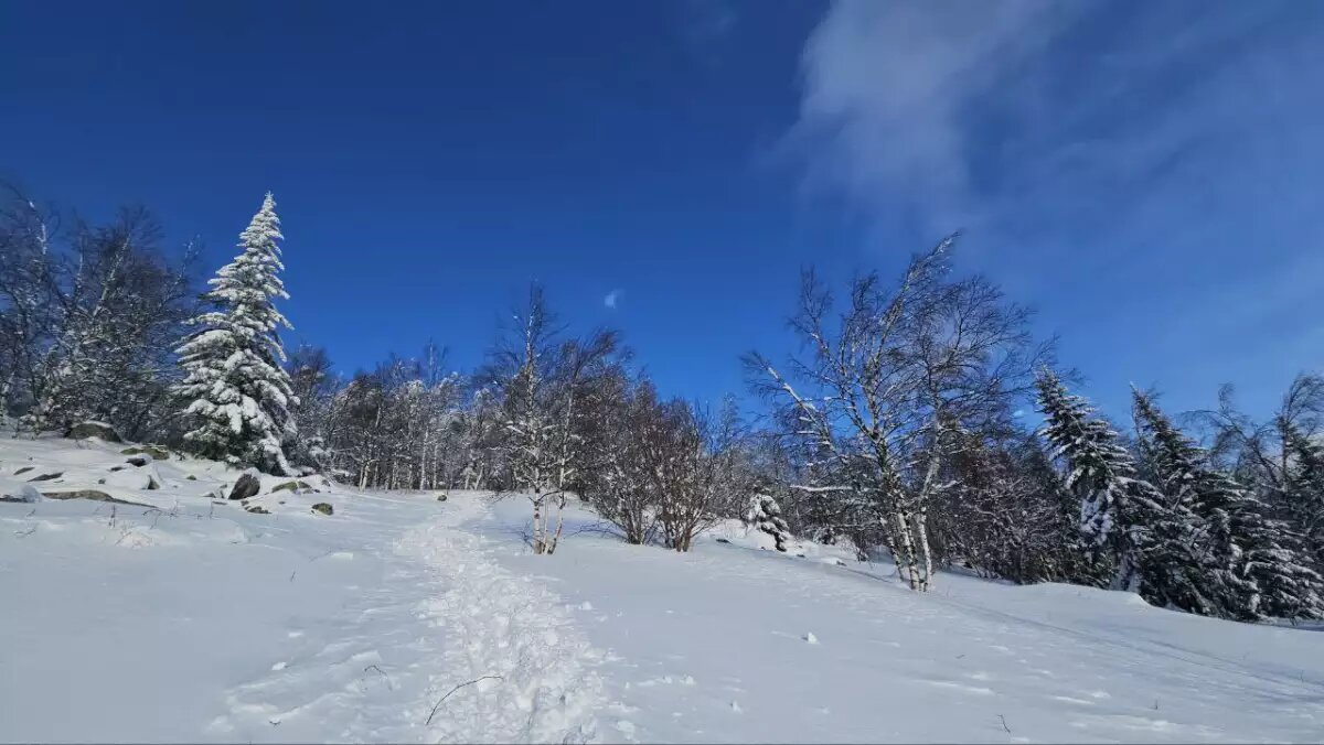    Обложка истории