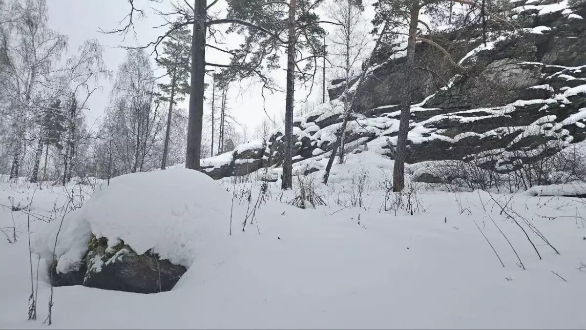    Обложка истории